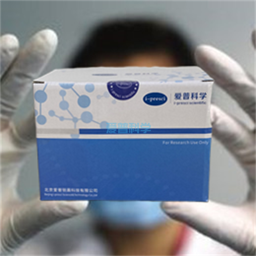 AipBest 尿液基因组DNA快速提取试剂盒(离心柱型)