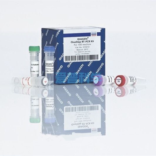 一步法RT-PCR试剂盒,QIAGEN OneStep RT-PCR Kit(100)