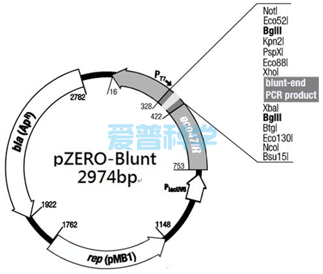 pZERO-Blunt 零背景平末端快速连接试剂盒(图1)