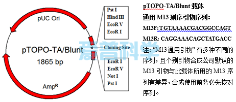 零背景pTOPO-TA/Blunt通用克隆试剂盒(图1)