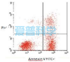 AnnexinV-FITC/PI 双染法细胞凋亡检测试剂盒(图1)