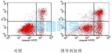 AnnexinV-FITC/PI 双染法细胞凋亡检测试剂盒,增强型(图1)