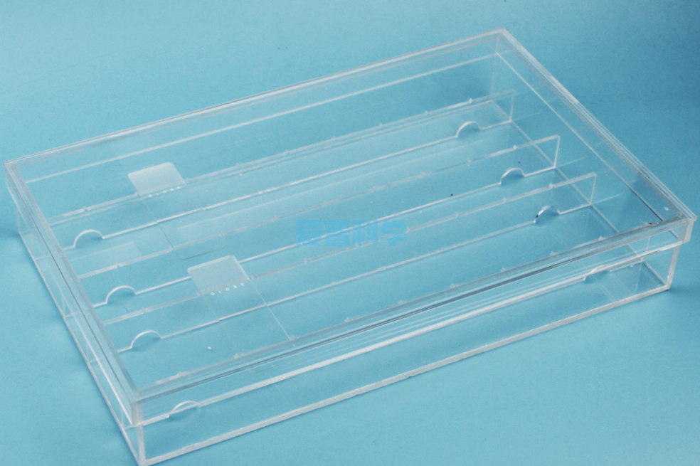 免疫组化湿盒,透明,大号,20片装,有机玻璃(图3)