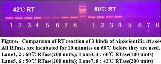 爱普科学/第一链合成RT-PCR反转录试剂盒明星产品选择指南~(图1)