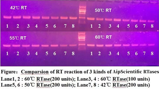 爱普科学/第一链合成RT-PCR反转录试剂盒明星产品选择指南~(图2)