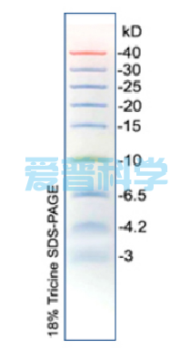 彩色预染蛋白Marker(3-40kDa) (图1)
