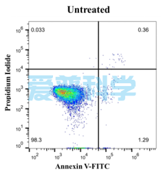 Annexin V-EGFP/FITC细胞凋亡检测试剂盒(图1)