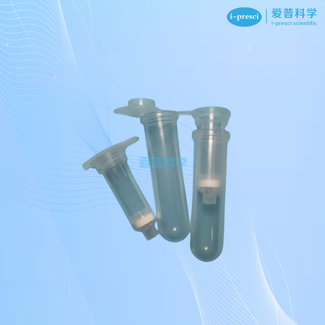 AipPure 核酸纯化吸附柱套件,2mL(质粒提取专用)