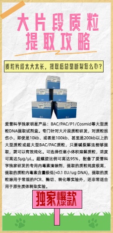 爱普科学-大片段质粒