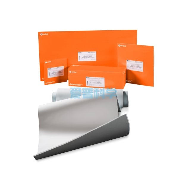 硝酸纤维素膜(NC膜),0.45um,15cm*20cm