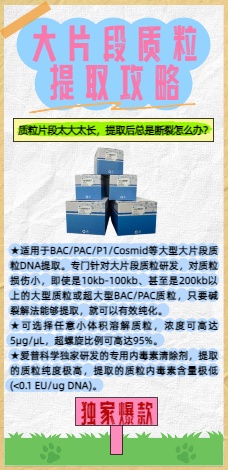 爱普科学-大片段质粒