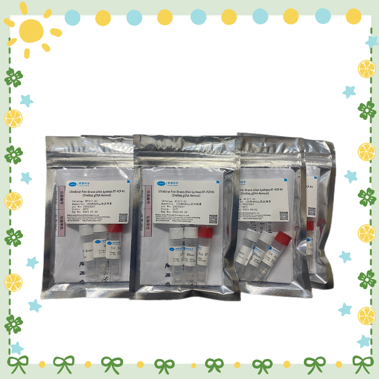 HotScript First-Strand cDNA Synthesis RT-PCR Kit(OneStep gDNA Removal)